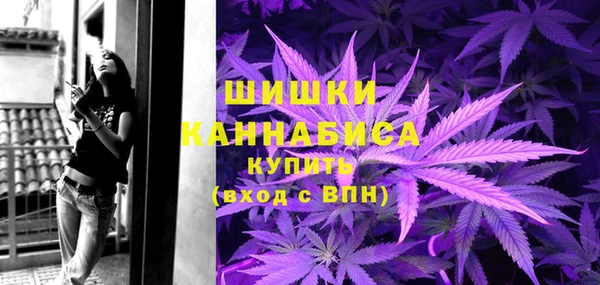 МДПВ Всеволожск